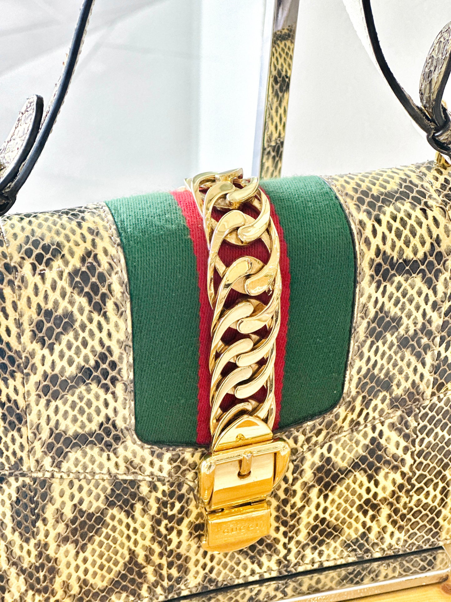 Gucci Python Sylvie